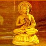 Một đời người, một rừng cây Một đời người, một rừng cây
