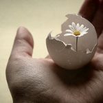 Nghiệp và tái sinh nên được hiểu như thế nào? Nghiệp và tái sinh nên được hiểu như thế nào