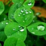 Nói chuyện thiền định nhưng quý vị có hiểu thiền định là gì không? (Phần 1) Nói chuyện thiền định nhưng quý vị có hiểu thiền định là gì không? (Phần 1)