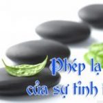 Phép Lạ Của Sự Tỉnh Thức (P1) Phép Lạ Của Sự Tỉnh Thức