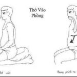 Quán chiếu tương tục của tâm thức Quán chiếu tương tục của tâm thức