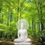 Tại sao cần thiền định? Tại sao cần thiền định?