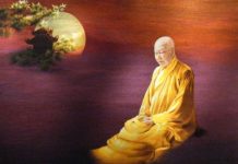 Thiền Tông Việt Nam