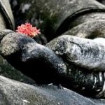 Trở về mái nhà xưa Trở về mái nhà xưa