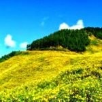 Truyền thống sinh động Thiền tập (P8) Truyền thống sinh động Thiền tập (P8)
