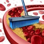 10 thực phẩm giúp thông tắc mạch máu 10 thực phẩm giúp thông tắc mạch máu