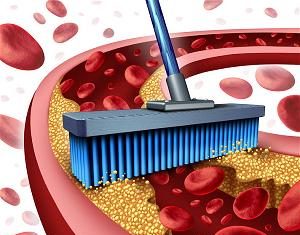 10 thực phẩm giúp thông tắc mạch máu 10 thực phẩm giúp thông tắc mạch máu