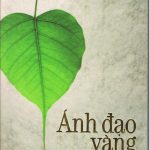 Ánh Đạo Vàng – Võ Đình Cường Ánh Đạo Vàng - Võ Đình Cường