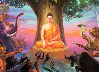 Bàn về câu nói: Phật tức tâm, tâm tức Phật. Bàn về câu nói: Phật tức tâm, tâm tức Phật.