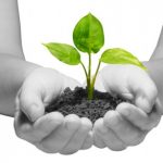 Bảo vệ sự sống của muôn loài Bảo vệ sự sống của muôn loài