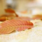 Bí mật của những người đã chết bi-mat-cua-nhung-nguoi-da-chet