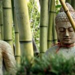 Buồn Chi Mà Ba Bốn Bữa… buon-chi-ma-ba-bon-bua