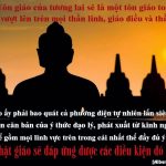 Các học giả nói về Phật Giáo Các học giả nói về Phật Giáo