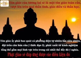 Các học giả nói về Phật Giáo Các học giả nói về Phật Giáo