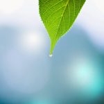 Chết do tai nạn sẽ tái sanh về đâu? Chết do tai nạn sẽ tái sanh về đâu?