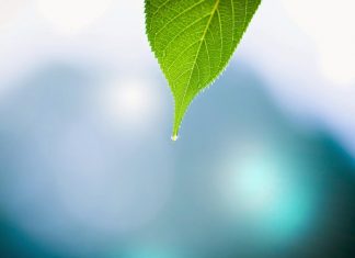 Chết do tai nạn sẽ tái sanh về đâu? Chết do tai nạn sẽ tái sanh về đâu?