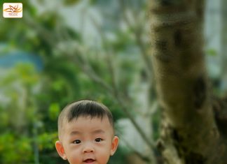 Chú tiểu, Mẹ và bông hoa sứ Chú tiểu, Mẹ và bông hoa sứ