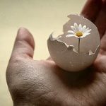 Chứng cứ khoa học của sự tái sinh Chứng Cứ Khoa Học Của Sự Tái Sinh