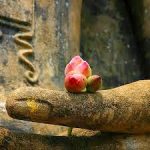 Có con đường nào đẹp bằng con đường tu đâu Có con đường nào đẹp bằng con đường tu đâu