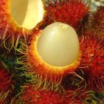 Công dụng phòng trị bệnh tuyệt vời của chôm chôm Công dụng phòng trị bệnh tuyệt vời của chôm chôm