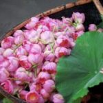 Đạo khả đạo phi thường đạo dao-kha-dao-phi-thuong-dao