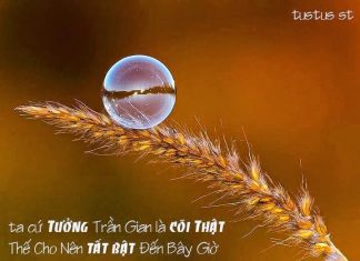 Dấu mốc của một kiếp người Dấu mốc của một kiếp người