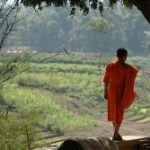 Đi hái Phù Vân di-hai-phu-van