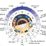 Đồng hồ sức khỏe và nếp sống nhà Phật Đồng hồ sức khỏe và nếp sống nhà Phật