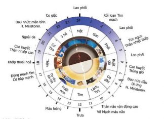 Đồng hồ sức khỏe và nếp sống nhà Phật Đồng hồ sức khỏe và nếp sống nhà Phật