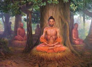 Đường Xưa Mây Trắng – Chương 15: Khổ hạnh lâm Đường Xưa Mây Trắng - Chương 15: Khổ hạnh lâm