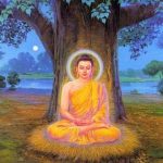 Đường Xưa Mây Trắng – Chương 18: Sao mai đã mọc Đường Xưa Mây Trắng - Chương 18: Sao mai đã mọc