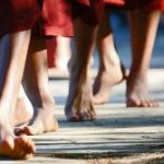 Đường Xưa Mây Trắng – Chương 24: Hãy đi như những con người tự do duong-xua-may-trang--chuong-24-hay-di-nhu-nhung-con-nguoi-tu-do