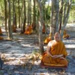 Đường Xưa Mây Trắng – Chương 38: Ôi! Hạnh Phúc! duong-xua-may-trang--chuong-38-oi-hanh-phuc