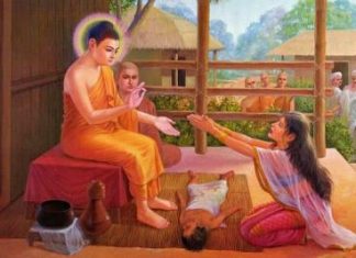 Đường Xưa Mây Trắng – Chương 41: Thương – Mầm mống của đau khổ duong-xua-may-trang--chuong-41-thuong--mam-mong-cua-dau-kho