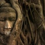 Đường Xưa Mây Trắng – Chương 60: Ngày nào đầu tóc cũng ướt duong-xua-may-trang--chuong-60-ngay-nao-dau-toc-cung-uot