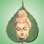 Đường Xưa Mây Trắng – Chương 70: Bụt từ đâu tới và sẽ đi về đâu? duong-xua-may-trang--chuong-70-but-tu-dau-toi-va-se-di-ve-dau