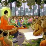 Đường Xưa Mây Trắng – Chương 71: Nghệ thuật lên dây đàn Đường Xưa Mây Trắng - Chương 71: Nghệ thuật lên dây đàn