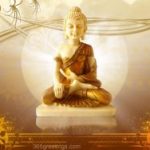 Đường Xưa Mây Trắng – Chương 75: Những giọt nước mắt sung sướng của Sudatta duong-xua-may-trang--chuong-75-nhung-giot-nuoc-mat-sung-suong-cua-sudatta