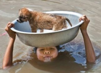Giá trị con người Giá trị con người