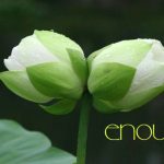 Hạnh phúc trong tầm tay Hạnh phúc trong tầm tay