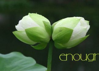 Hạnh phúc trong tầm tay Hạnh phúc trong tầm tay