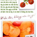 Khi đói không nên ăn gì? Khi đói không nên ăn gì?