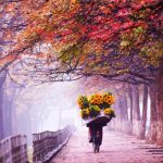 Lặng thầm với mùa thu Lặng thầm với mùa thu