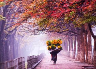 Lặng thầm với mùa thu Lặng thầm với mùa thu
