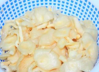 Nấm Bào Ngư Chiên Giòn Nấm Bào Ngư Chiên Giòn