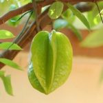 Ngày về Ngày về