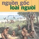 Nguồn Gốc Loài Người Nguồn Gốc Loài Người
