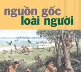 Nguồn Gốc Loài Người Nguồn Gốc Loài Người