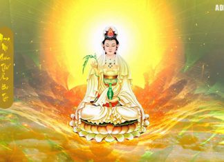 Nhân ngày vía Quan Thế Âm Bồ Tát, bàn về việc tu tập theo hạnh nguyện của Bồ Tát Nhân ngày vía Quan Thế Âm Bồ Tát, bàn về việc tu tập theo hạnh nguyện của Bồ Tát
