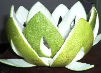 Những bài thuốc dân gian trị ốm nghén hiệu quả Những bài thuốc dân gian trị ốm nghén hiệu quả